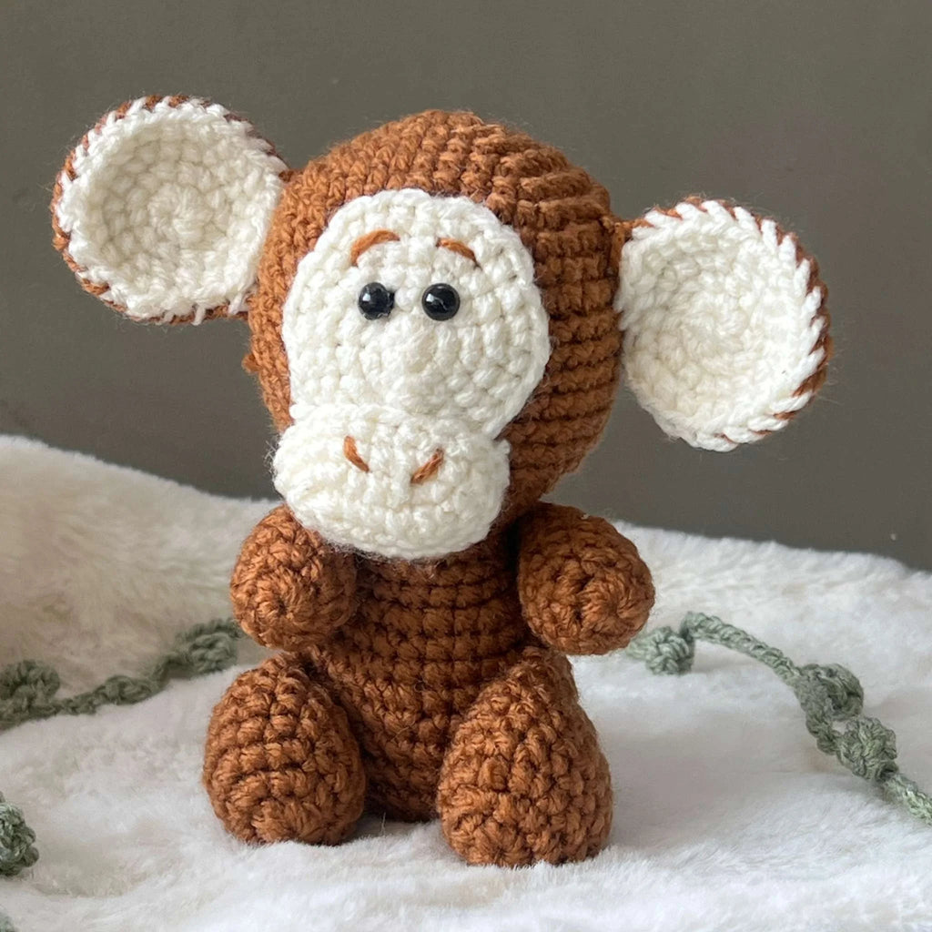 MOMO The Baby Monkey