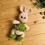 Bella the Bunny