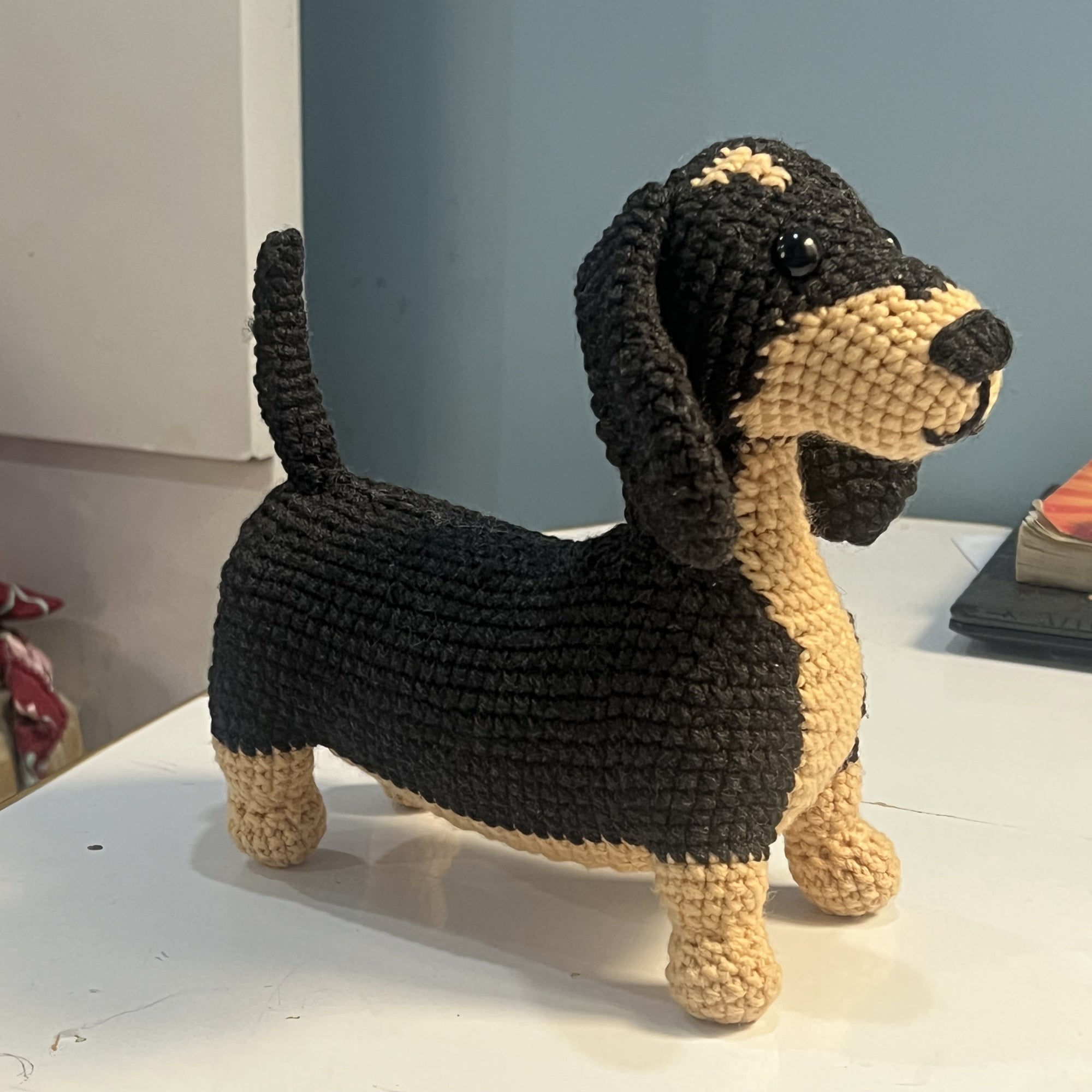 Dash the Dapper Dog