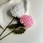 Pingpong Flower