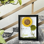 Bloom and Grow Inspiration Frame Box