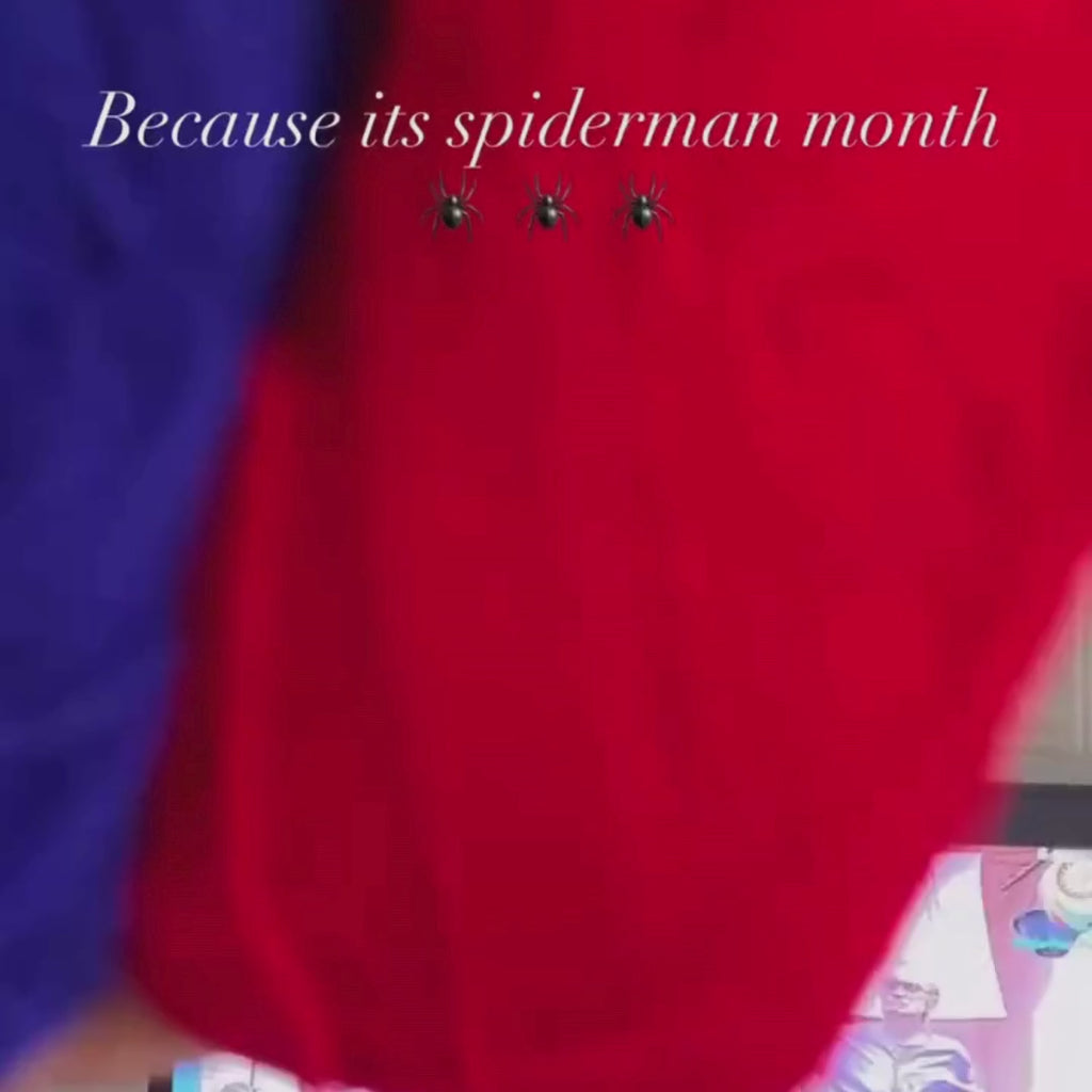 Spiderman Web Hanging Charm