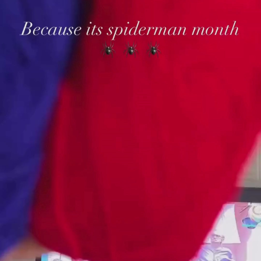 Spiderman Web Hanging Charm